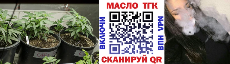 ТГК вейп с тгк  Купить закладки  Новая Усмань 